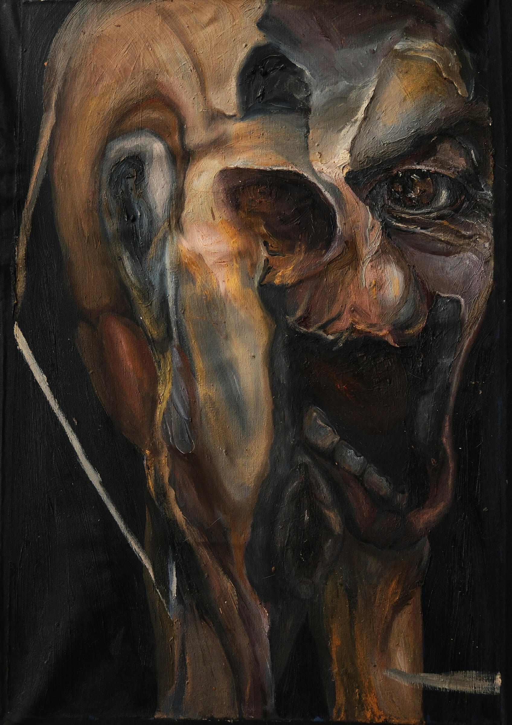 Untitled, 2017 · Oil paint on canvas · 50 × 70 cm